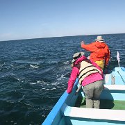 IMG 0001 2 (371)